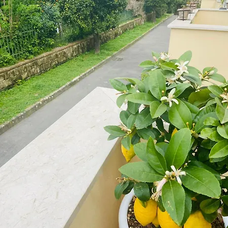 Sakura House Feriehus Sorrento