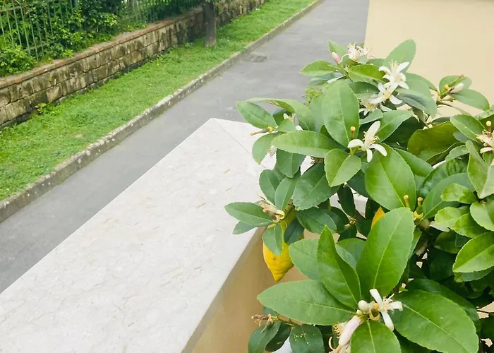 Sakura House Feriehus Sorrento